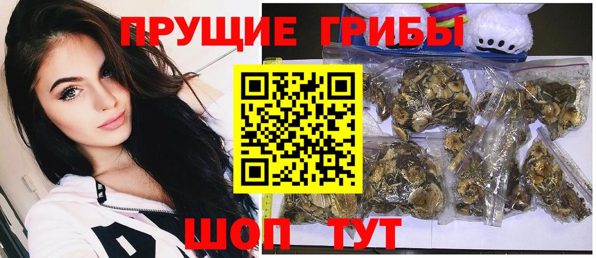 Галлюциногенные грибы Cubensis Южноуральск